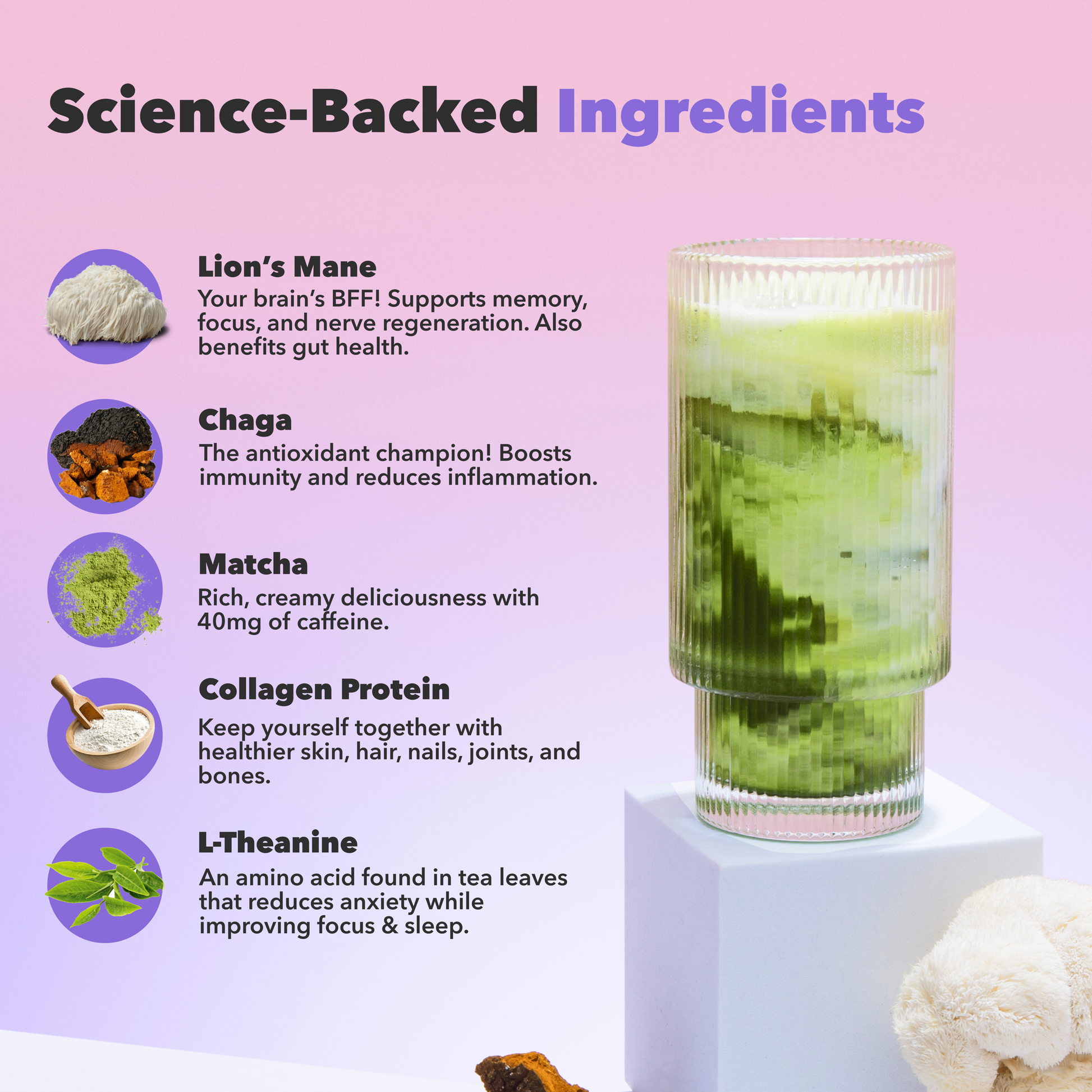 90-servings-matcha-free-starter-kit-d8 custom_resized_386f63f8-0691-449c-9e51-462fed6c0033.png